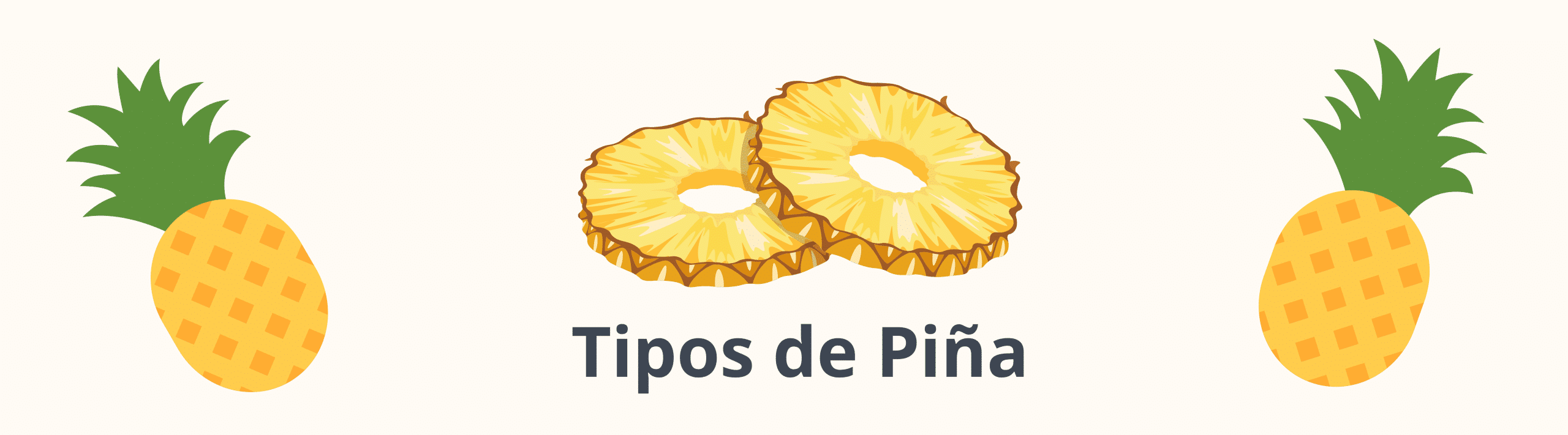 Tipos de Piña Deshidratada | Piña Rodajas | Piña en cubos 🥇